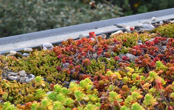 the cost of Caton Green green roof installation