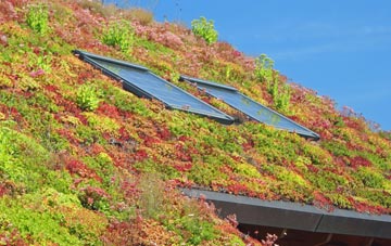 Caton Green living roof systems